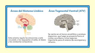 Neurobiología de la adición [upl. by Nuahsar]