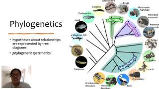 Topic 1 Phylogenies and Evolutionary Relationships part 1 [upl. by Koziel]