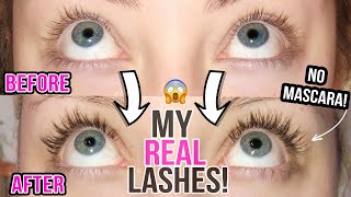 HOW TO GROW YOUR LASHES  MAXEYLASH SERUM BEFORE AND AFTER  GLAMNANNE [upl. by Nnaira]