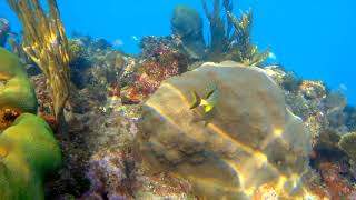 Snorkeling Jibacoa Cuba [upl. by Schoenberg]