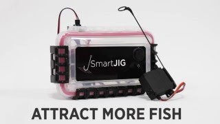 SmartJig Automatic Jigging System [upl. by Aibos]