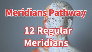 Acupuncture 12 Regular Meridians Pathway  针灸经络12条正经走行 [upl. by Aicat]