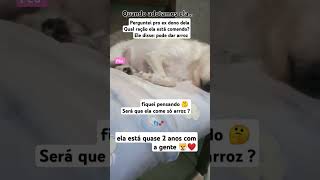 👣🐾 Quando ADOTAMOS QUEREMOS SABER UM pouco SOBRE o PET [upl. by Let]