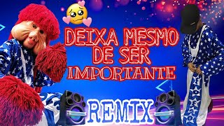 DeixaDeixa Mesmo De Ser Importante  REMIX FUNK COREOGRAFIA VERSÃO CARRETA DA ALEGRIA [upl. by Adnohral]