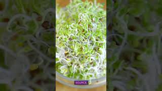 Top Foods Rich In Sulforaphane A Musttry List [upl. by Eladroc]