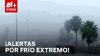 Activan alertas tras temperaturas congelantes en Coahuila Veracruz y Chihuahua  Sábados de N FORO [upl. by Ydoj914]