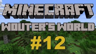 Minecraft Wouters World  12  quotHet Huis Inrichtenquot Survival Lets Play NL HD [upl. by Nawyt657]