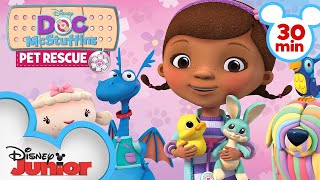 Pet Rescue  30 Minute Compilation  Doc McStuffins  disneyjr [upl. by Rawlinson]