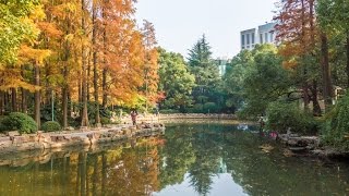 A walk through Peoples Park in Shanghai China [upl. by Ettenoj]