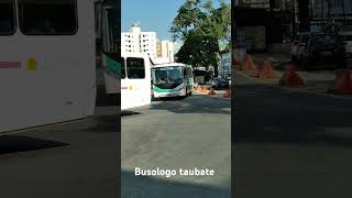 1084 ABC TRANSPORTES TAUBATÉSP COMIL SVELTO 2017 MIDI MERCEDES BENZ OF 1519 [upl. by Eninnaj327]