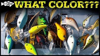 Color Changing Products को देखकर Sharks क्यों हो गए Curious Shark Tank India Season 2 Full Pitch [upl. by Xela]