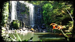 The 5 Waterfalls of Kerikeri New Zealand 🇳🇿 Not JUST Rainbow Falls [upl. by Encrata]