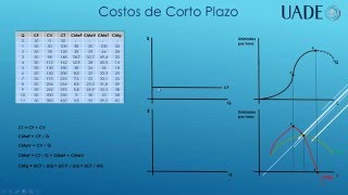 Costos de Corto y Largo Plazo [upl. by Artema945]