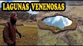 encontramos lagunas venenosas en Perú [upl. by Reuven]