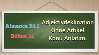 Almanca B1 Adjektivdeklination Ohne Artikel Konuları 32 [upl. by Laud673]