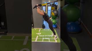 8 TRX exercises for core and stability [upl. by Lenoel444]