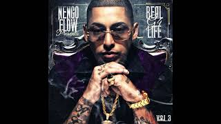 Ñengo Flow  RealG4life Vol3 Album Completo 2017 [upl. by Nivej116]