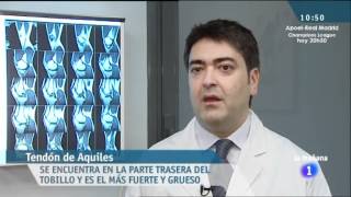 Como prevenir lesiones en tendones y ligamentos [upl. by Cinomod]