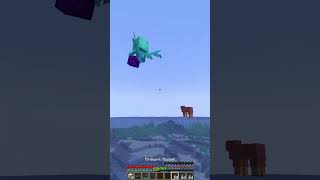 How To Find Nether Portal Last Block Moment minecraft shorts meme [upl. by Bessy]