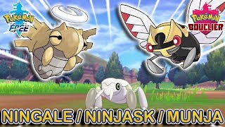 Capturer Ningale Ninjask et Munja  Pokémon Épée et Bouclier [upl. by Tsepmet]