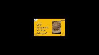 Deer Stroganoff Culinary Success or Epic Fail [upl. by Juakn]