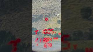 1000 Yard Airgun Shot Part 2 FX Dynamic 357 [upl. by Ronen]