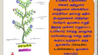 CODICIL IN TAMIL FAMILY LAW 2 INDIAN SUCCESSION ACT 1925 [upl. by Nehpets309]