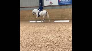 Novice 24 2010 dressage test 68 West Moor Farm Equestrian [upl. by Rohn]