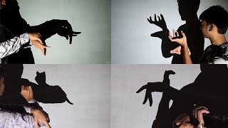 Amazing hand Shadow performance III shadowgraphy [upl. by Eedeed]