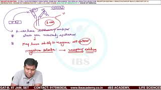 LECTURE 28 III ALLELIC EXCLUSION [upl. by Yhpos]