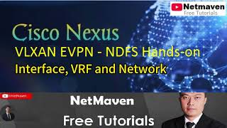 2 Nexus VXLAN EVPN NDFC Handson  Interface VRF and Network [upl. by Elyrad]