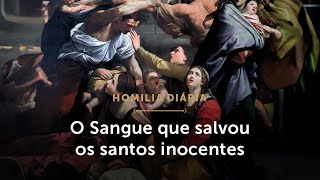 Homilia Diária  Unidos ao Sangue do Cordeiro Festa dos Santos Inocentes Mártires [upl. by Ellerihs]