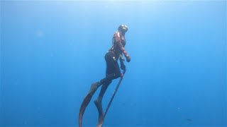 Wettie TV  SPEARFISHING with SHARKS  New Zealand [upl. by Dibbrun]