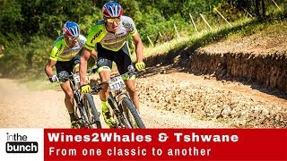 In the Bunch show  Racing from Wines2Whales to Tshwane [upl. by Eellah]