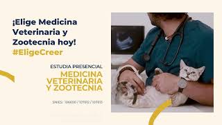 Estudia Medicina Veterinaria y Zootecnia Tu Futuro te espera [upl. by Noirad]