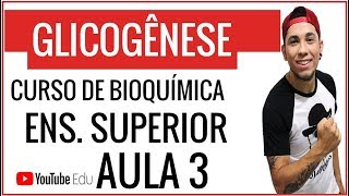 Aula 3 GLICOGÊNESE  AULA DE BIOQUÍMICA PARA ENSINO SUPERIOR  Prof Patrick Gomes [upl. by Eimiaj343]