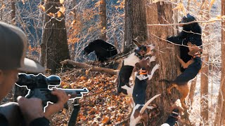 CRAZY BEAR HUNT UNREAL FOOTAGE  Bear Hunting with Hounds [upl. by Ally]