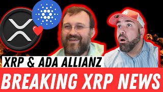 💥RIPPLE XRP CARDANO ALLIANZ 💥ANGST VOR GENSLER NACHFOLGER  SEC  ADA  BITCOIN [upl. by Lorilee]