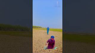 Vfx water jumping funny 😂video shorts funny vfx specialeffect [upl. by Yecrad205]