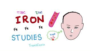 Iron Studies  Serum Fe TIBC ferritin amp Transferrin  Saturation [upl. by Pry60]