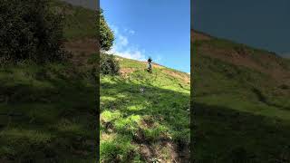 Mini red bull rampage redbullbike mountainbikeskills mtb freeridemtb freeride [upl. by Malorie]