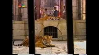 Fort Boyard part1 Eleni Andriopoulou [upl. by Kay689]