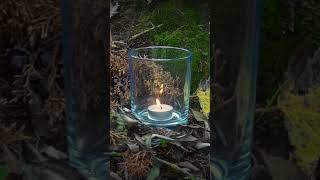 Guided Meditation with Your Ancestors shorts meditation tarot [upl. by Adnoyek]