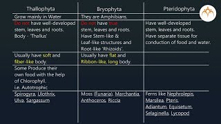 Cryptogams [upl. by Chem701]