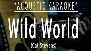 Wild World  Cat Stevens [upl. by Nick]