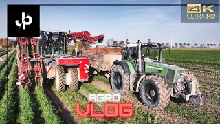 Möhren Ernte 2022 wie geht das FendtCase Agrovlog 13  JP Agrar [upl. by Vicki28]