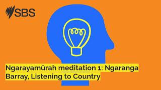 Ngarayamūrah meditation 1 Ngaranga Barray Listening to Country  Great Minds [upl. by Carman]