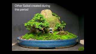 Saikei Bonsai Forest created with Kingsville Boxwood [upl. by Taran]