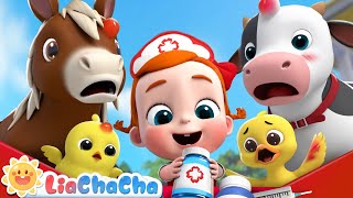 Boo Boo Farm Animals Song  Farm Animal Series Compilation  Kids Songs amp Nursery Rhymes  LiaChaCha [upl. by Eelra]