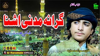 گرانہ مدنی اشنا  Hafiz Masaod Ahmad Mavia  Pashto HD 2024 Best Naat [upl. by Thatcher]